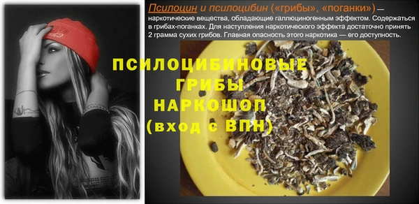Альфа ПВП Переславль-Залесский