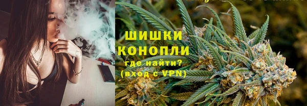 гашик Дмитровск