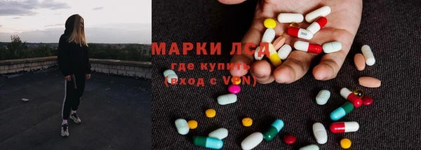 тгк Губаха