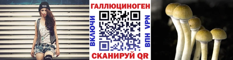 Галлюциногенные грибы Psilocybine cubensis ОМГ ОМГ Курильск
